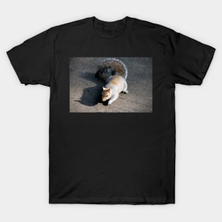 Mr Squirrel, pleased to meet you T-Shirt